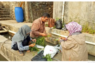 Aplikasi Aquaponik sebagai Upaya Penanggulangan Limbah Hasil Budidaya Perikanan (2018):  Desa Cinangsi, Kab. Cianjur