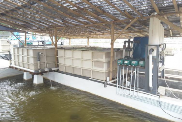 Pengolahan Air Limbah DAS Citarum untuk Produksi Ikan Air Tawar (2018): Desa Tarik Kolot, Kec. Cikalong Kulon, Kab. Cianjur