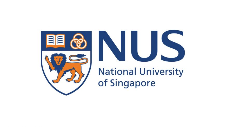 NUS Fellows Programme (Southeast Asia)